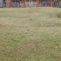 Главное фото: Краснодар, Услуги, Хозяйство и уборка, Сад и огород: Покос травы качественно (Прикубанский) - 06 декабря 2025 г. 16:06