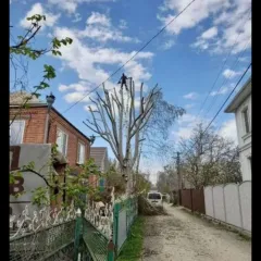Краснодар, Разное, Западный р-н, Карасунский р-н, Прикубанский р-н, Центральный р-н, выезд до 30 км от г. Краснодар, Спил деревьев, Обрезка плодовых | 15 ноября 2025 г. 21:57