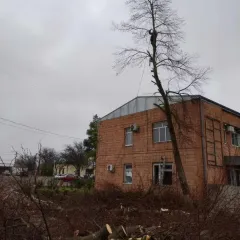 Усть-Лабинск, Услуги, Разное: , Спил деревьев, Обрезка плодовых | 15 ноября 2025 г. 21:46