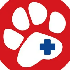 Главное фото: Армавир, Услуги, Услуги для животных, Другое: ветеринарная клиника айболит армавир (Все районы города Армавир и пригород (по договорённости)) - 05 декабря 2025 г. 14:57