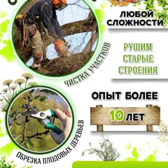 Главное фото: Выселки, Услуги, Хозяйство и уборка, Спил деревьев: Спил деревьев, Обрезка плодовых (Все районы города Выселки) - 15 ноября 2025 г. 21:47