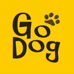 Главное фото: Краснодар, Услуги, Услуги для животных, Дрессировка собак: GoDog - дрессировка собак, Краснодар. (Все районы города Краснодар и пригород (по договорённости)) - 15 ноября 2025 г. 17:50