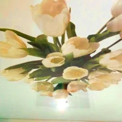 Славянск-На-Кубани, Другое, Все районы города Славянск-На-Кубани и пригород, Натяжные потолки | 26 ноября 2025 г. 09:28