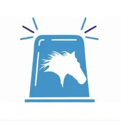 Главное фото: Новороссийск, Услуги, Услуги для животных, Другое: Ветеринарный патруль - Краснодарский край. (Все районы города Новороссийск и пригород (по договорённости)) - 12 ноября 2025 г. 18:24