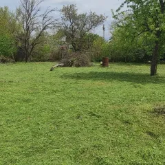 Главное фото: Краснодар, Услуги, Сельское хозяйство, Покос: Покос травы краснодар (Прикубанский) - 21 января 2026 г. 07:39