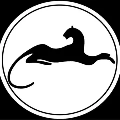 Главное фото: Новороссийск, Услуги, Услуги для животных, Другое: Ветеринарная клиника Багира. (Все районы города Новороссийск и пригород (по договорённости)) - 20 ноября 2025 г. 10:47