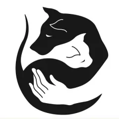 Главное фото: Сочи, Услуги, Услуги для животных, Другое: Ветеринарная клиника ветеринар - Сочи-Адлер. (Все районы города Сочи и пригород (по договорённости)) - 01 декабря 2025 г. 02:28