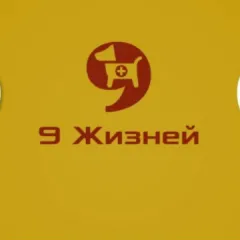 ветеринарная клиника 9 жизней лабинск