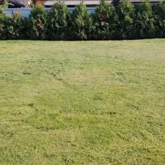 Главное фото: Краснодар, Услуги, Сельское хозяйство, Покос: Покос травы (Прикубанский) - 18 января 2026 г. 12:34