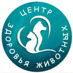 Главное фото: Сочи, Услуги, Услуги для животных, Другое: Ветеринарная клиника Центр здоровья животных. (Все районы города Сочи и пригород (по договорённости)) - 05 декабря 2025 г. 00:01