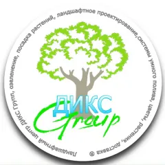 Фото владельца профиля