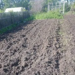 Фото владельца профиля