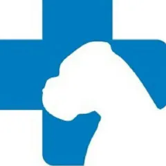 Фото владельца профиля