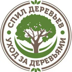 Фото владельца профиля