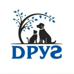 Фото владельца профиля