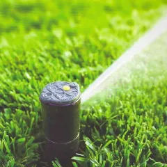 Фото владельца профиля