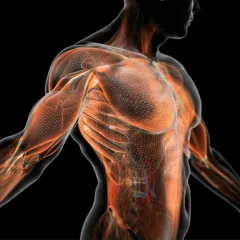 Фото владельца профиля