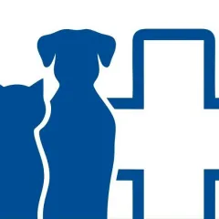 Фото владельца профиля