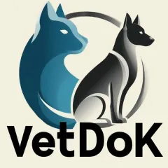 Фото владельца профиля