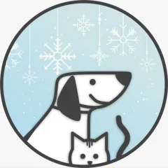 Фото владельца профиля