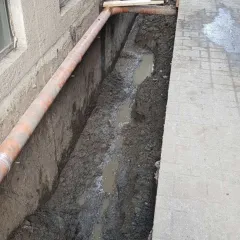 Фото владельца профиля