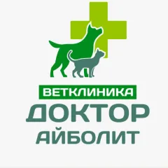 Фото владельца профиля