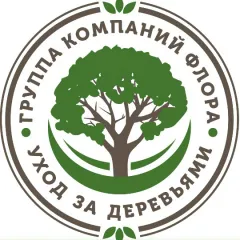 Фото владельца профиля