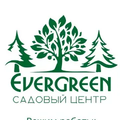 Фото владельца профиля