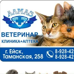 Фото владельца профиля