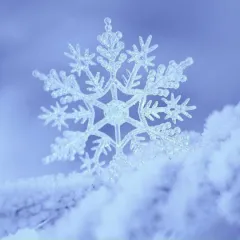 Фото владельца профиля