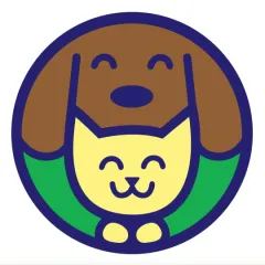 Фото владельца профиля