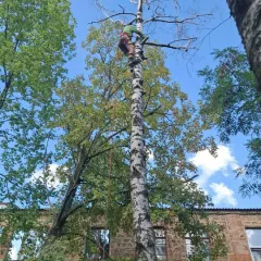 Фото владельца профиля