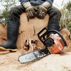 Фото владельца профиля