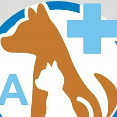 Фото владельца профиля