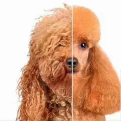 Фото владельца профиля