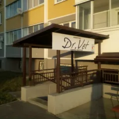 Фото владельца профиля