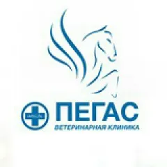 Фото владельца профиля