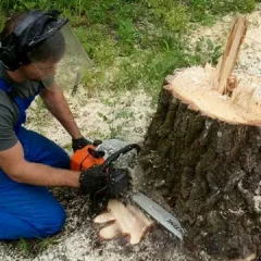 Фото владельца профиля